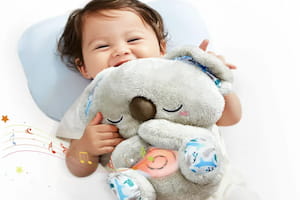 Quais são os melhores brinquedos para os bebês brincarem?